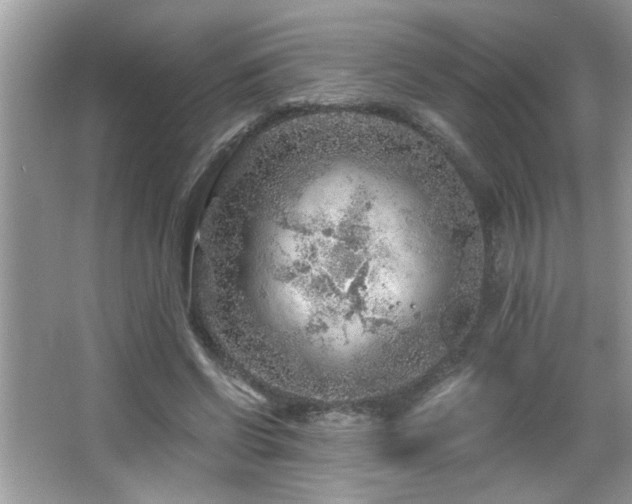 X0000065970542200603031131