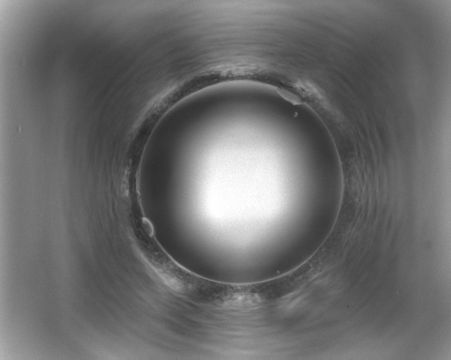 X0000065970543200603031131