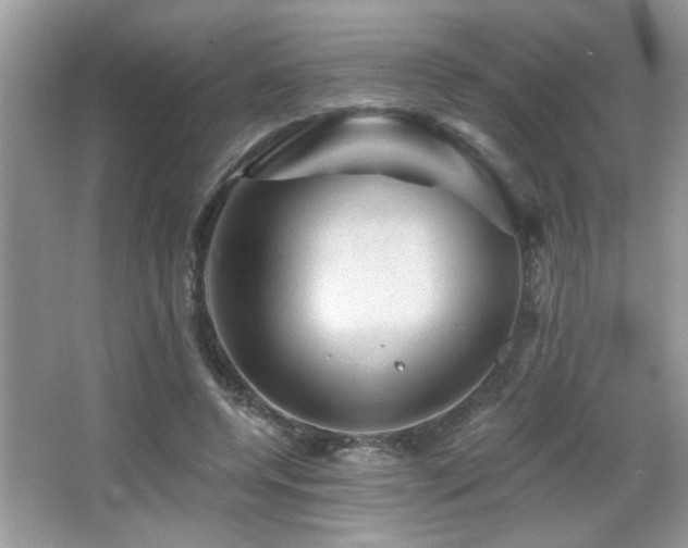 X0000065970544200603031131