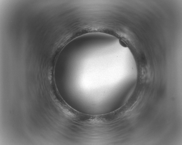 X0000065970545200603031131