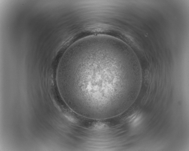 X0000065970547200603031131