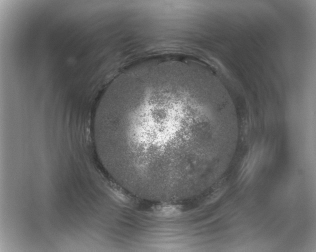 X0000065970553200603031131