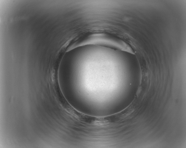 X0000065970556200603031131