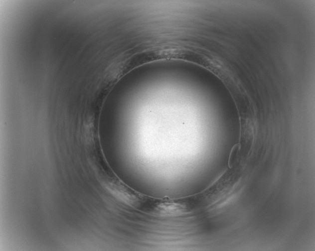 X0000065970557200603031131