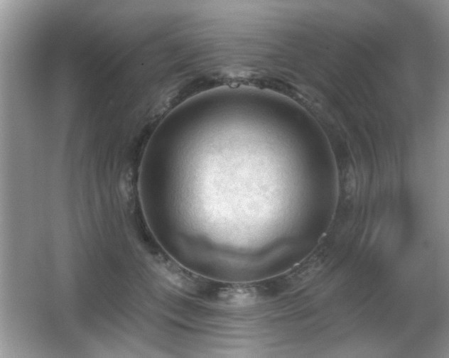 X0000065970559200603031131