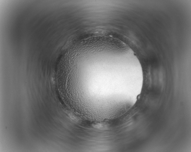 X0000065970561200603031131