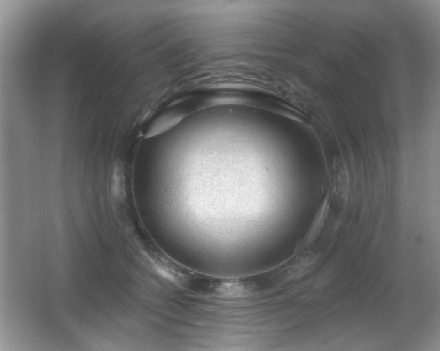 X0000065970562200603031131