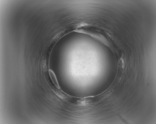 X0000065970564200603031131