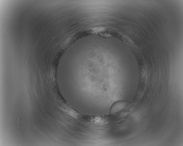 X0000065970565200603031131