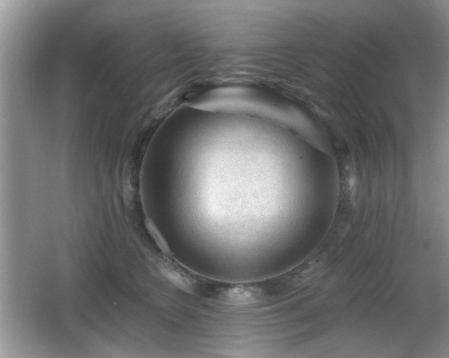 X0000065970566200603031131