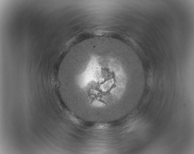 X0000065970569200603031131