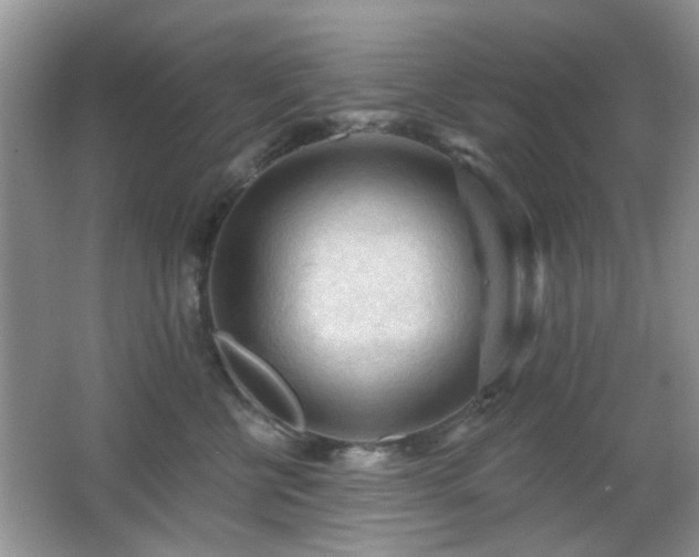 X0000065970570200603031131