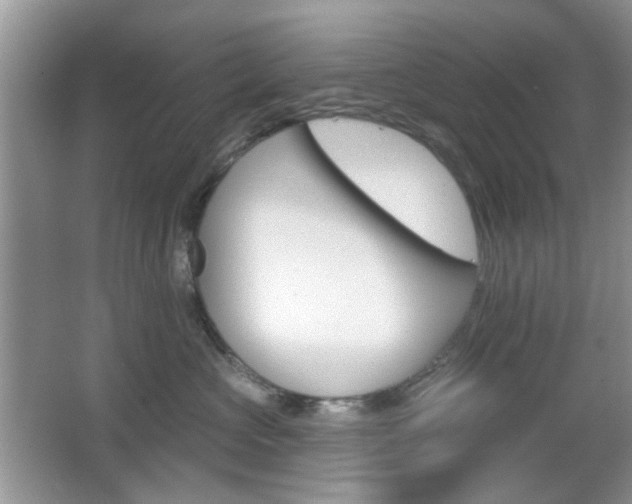 X0000065970573200603031132