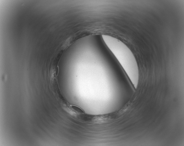 X0000065970574200603031132