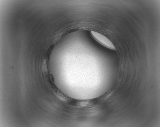 X0000065970575200603031132