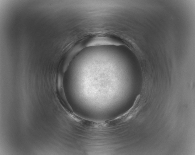 X0000065970576200603031132