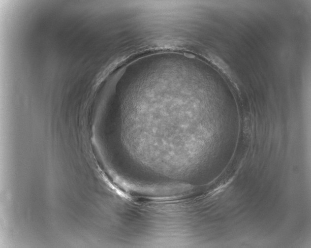 X0000065970577200603031131