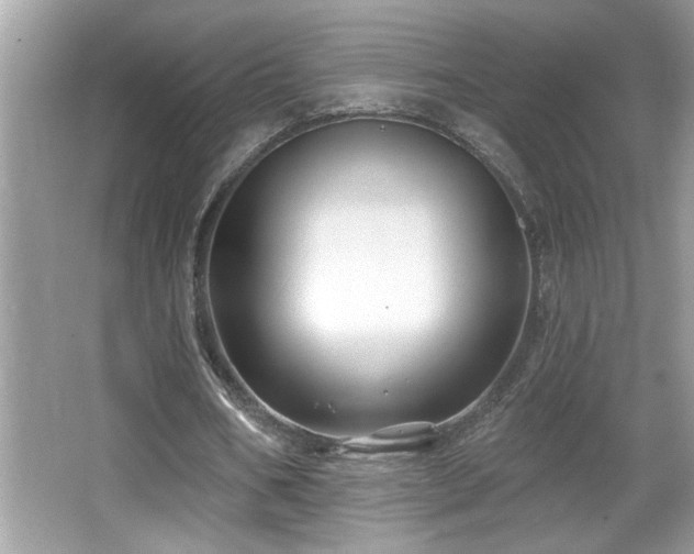 X0000065970578200603031131