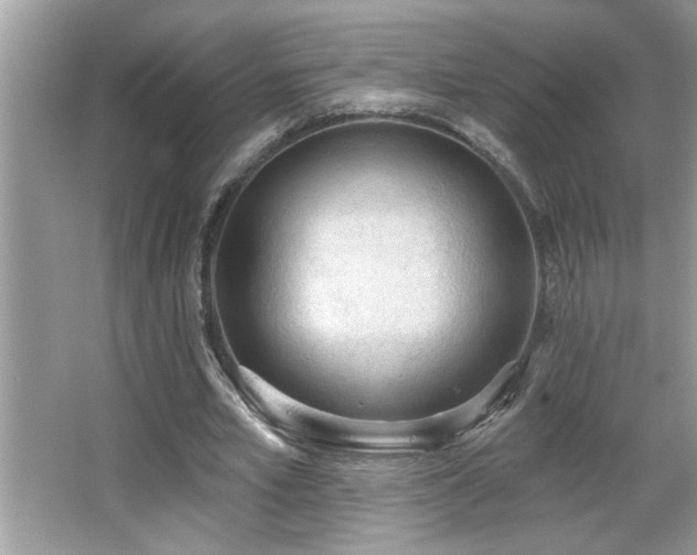 X0000065970581200603031131