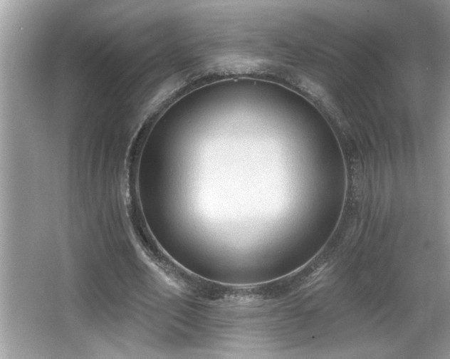 X0000065970582200603031131