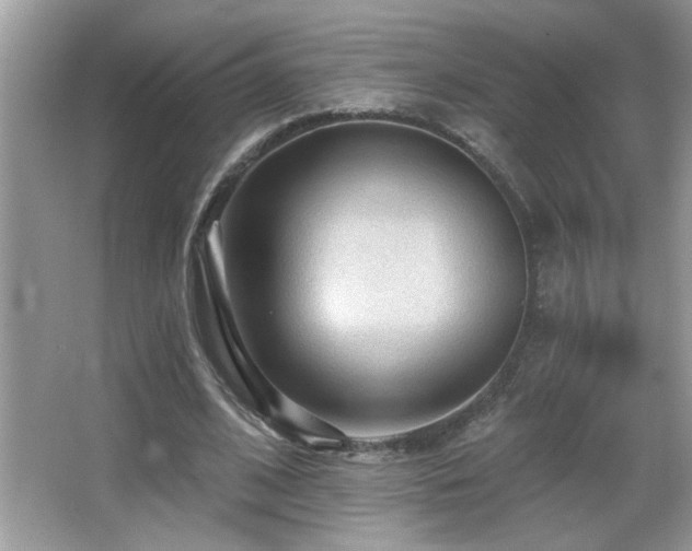 X0000065970584200603031131