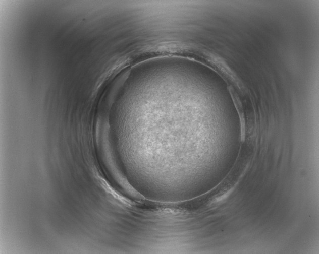 X0000065970585200603031131