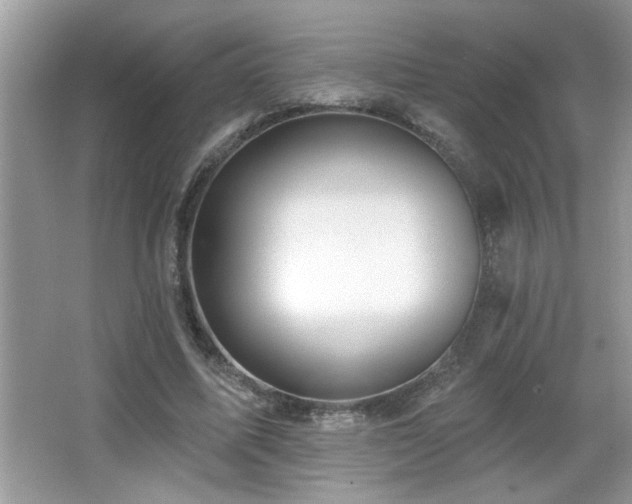 X0000065970587200603031131