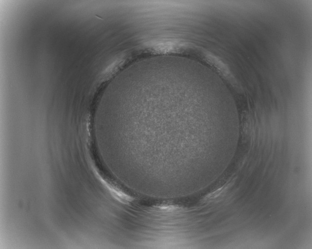 X0000065970590200603031131