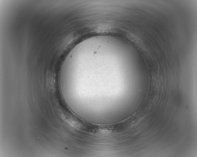 X0000065970592200603031130