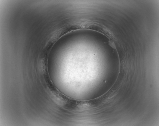 X0000065970594200603031130