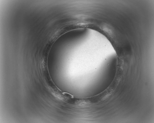 X0000065970597200603031130