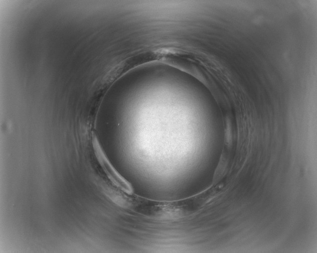 X0000065970601200603031130