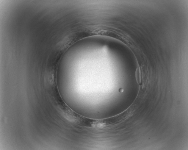 X0000065970602200603031130