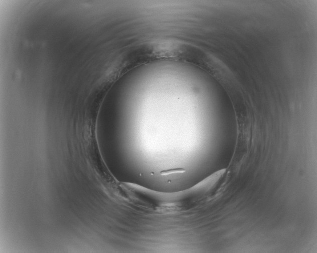 X0000065970603200603031130