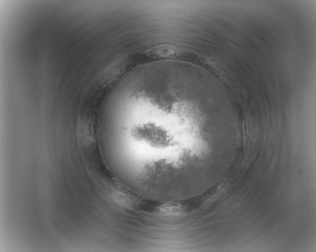 X0000065970606200603031130