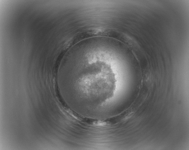 X0000065970607200603031130