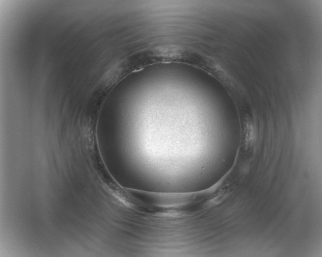 X0000065970609200603031130