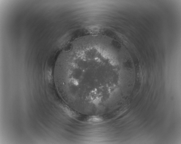 X0000065970610200603031130