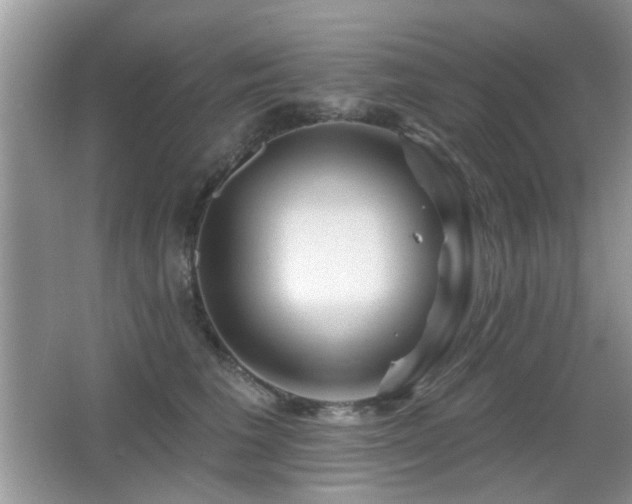 X0000065970613200603031130