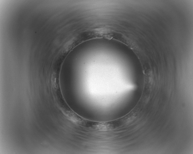 X0000065970615200603031130