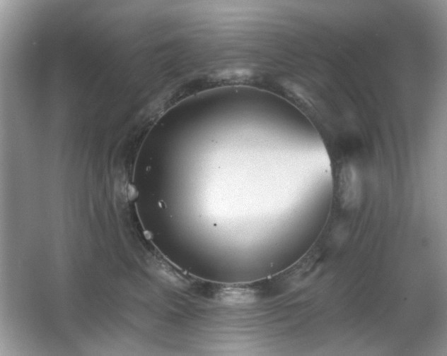 X0000065970617200603031130