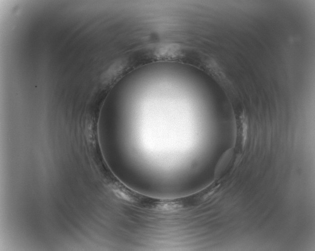 X0000065970619200603031130