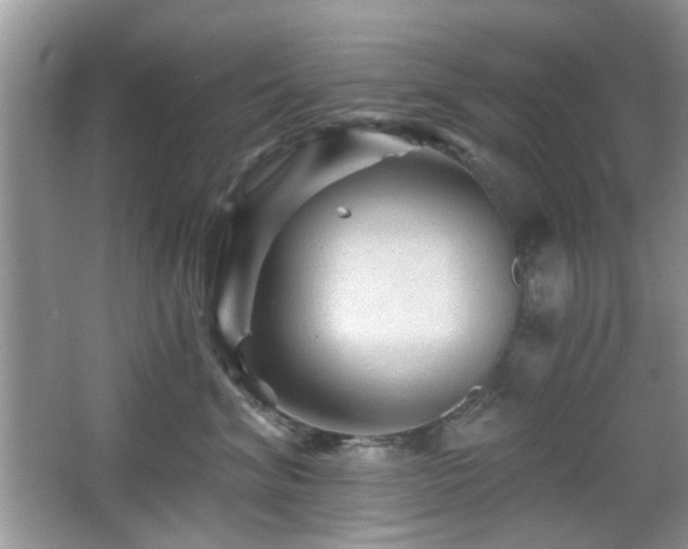 X0000065970620200603031130