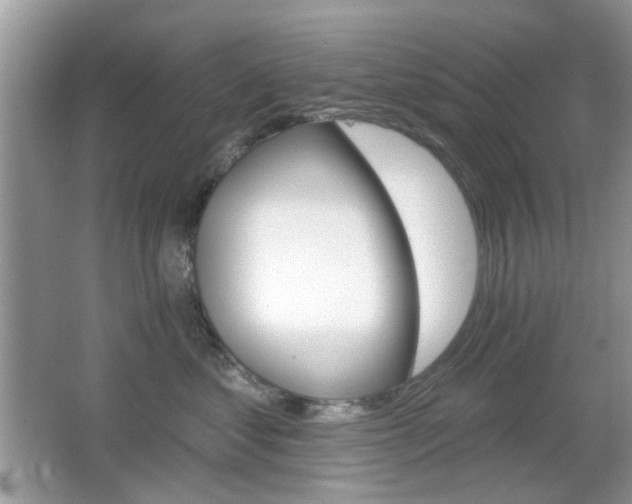 X0000065970621200603031130