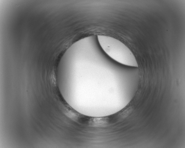 X0000065970622200603031130