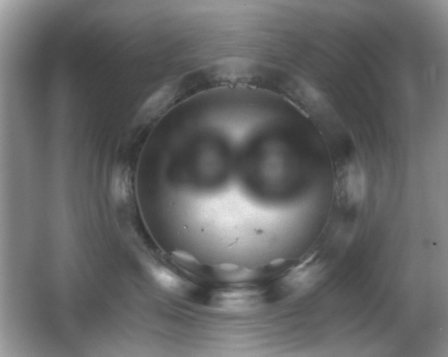 X0000065970623200603031130