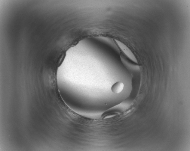 X0000065970624200603031130