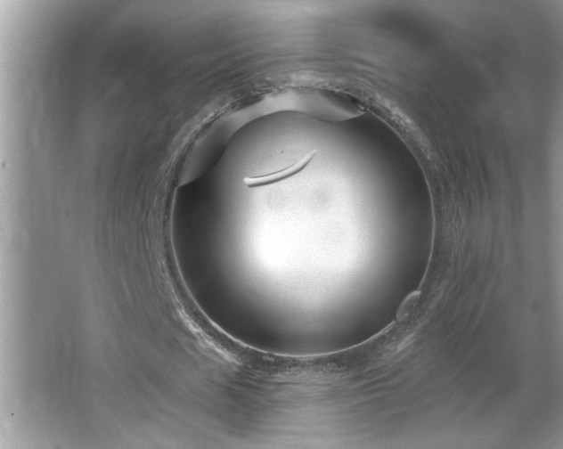 X0000065970625200603031129