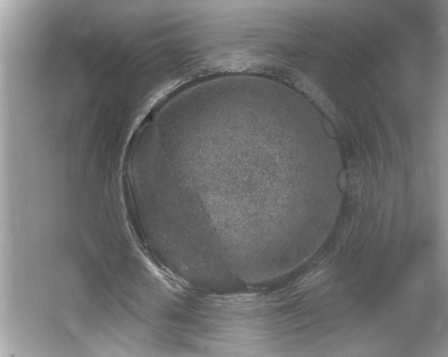 X0000065970626200603031129