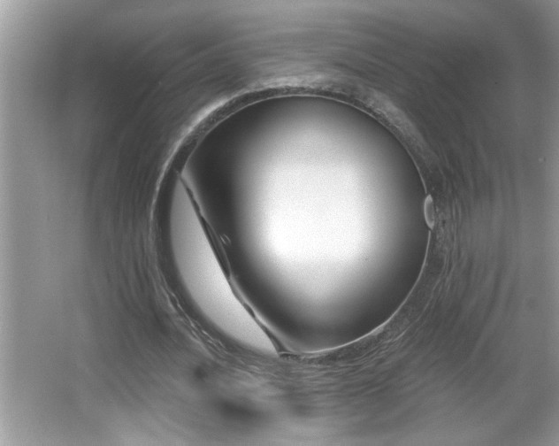 X0000065970628200603031129